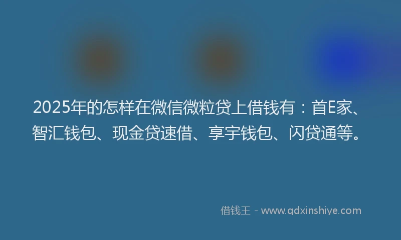 2025年的怎样在微信微粒贷上借钱有：首E家、智汇钱包、现金贷速借、享宇钱包、闪贷通等。