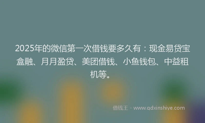 2025年的微信第一次借钱要多久有：现金易贷宝盒融、月月盈贷、美团借钱、小鱼钱包、中益租机等。