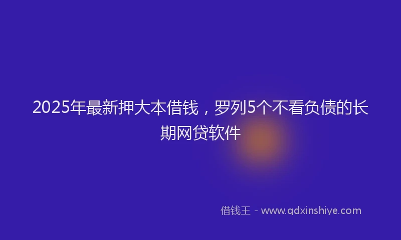 2025年最新押大本借钱，罗列5个不看负债的长期网贷软件