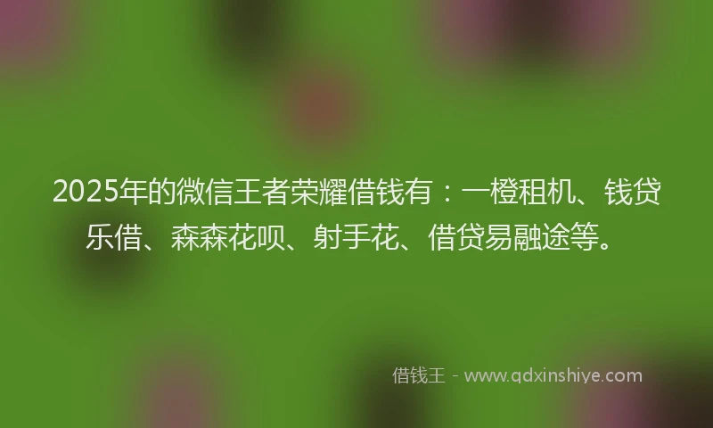 2025年的微信王者荣耀借钱有：一橙租机、钱贷乐借、森森花呗、射手花、借贷易融途等。