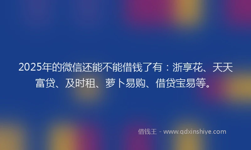 2025年的微信还能不能借钱了有：浙享花、天天富贷、及时租、萝卜易购、借贷宝易等。