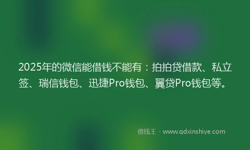 2025年的微信能借钱不能有：拍拍贷借款、私立签、瑞信钱包、迅捷Pro钱包、翼贷Pro钱包等。