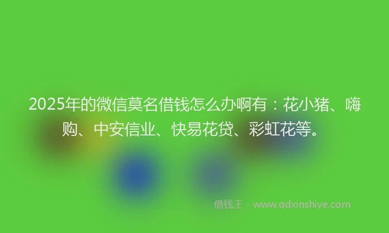 2025年的微信莫名借钱怎么办啊有：花小猪、嗨购、中安信业、快易花贷、彩虹花等。