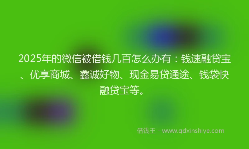 2025年的微信被借钱几百怎么办有：钱速融贷宝、优享商城、鑫诚好物、现金易贷通途、钱袋快融贷宝等。