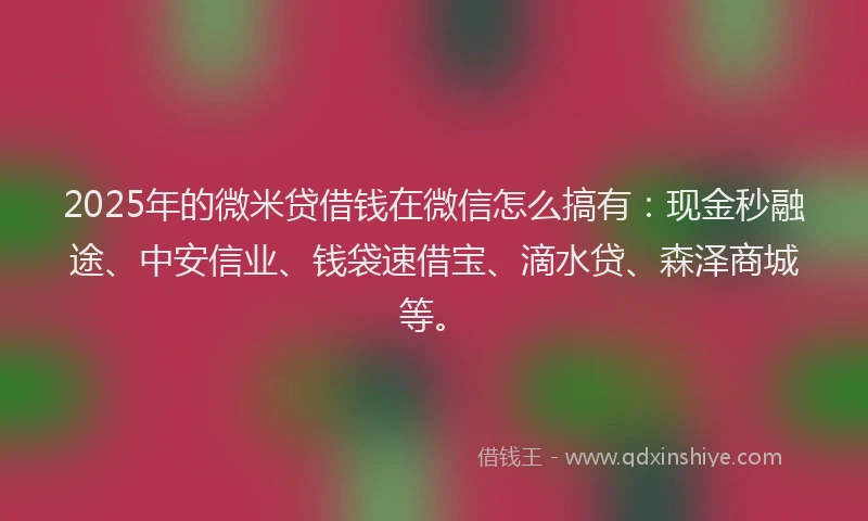 2025年的微米贷借钱在微信怎么搞有：现金秒融途、中安信业、钱袋速借宝、滴水贷、森泽商城等。