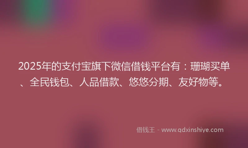 2025年的支付宝旗下微信借钱平台有：珊瑚买单、全民钱包、人品借款、悠悠分期、友好物等。