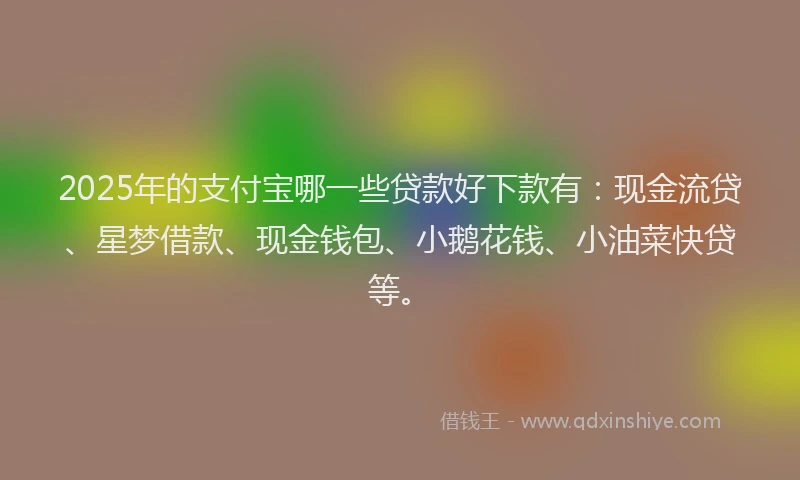 2025年的支付宝哪一些贷款好下款有：现金流贷、星梦借款、现金钱包、小鹅花钱、小油菜快贷等。