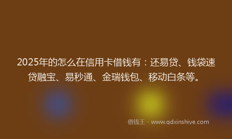 2025年的怎么在信用卡借钱有：还易贷、钱袋速贷融宝、易秒通、金瑞钱包、移动白条等。
