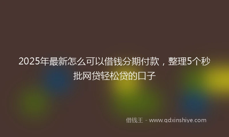 2025年最新怎么可以借钱分期付款，整理5个秒批网贷轻松贷的口子