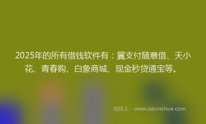 2025年的所有借钱软件有：翼支付随意借、天小花、青春购、白象商城、现金秒贷通宝等。