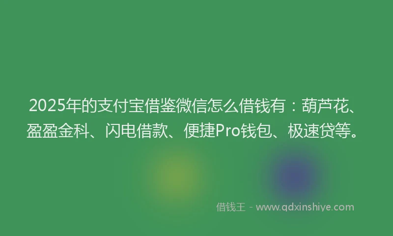 2025年的支付宝借鉴微信怎么借钱有：葫芦花、盈盈金科、闪电借款、便捷Pro钱包、极速贷等。