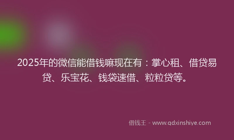 2025年的微信能借钱嘛现在有：掌心租、借贷易贷、乐宝花、钱袋速借、粒粒贷等。