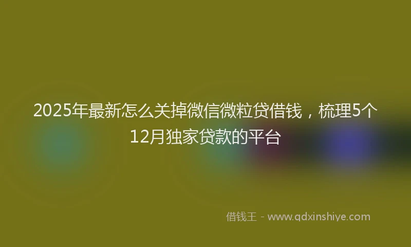 2025年最新怎么关掉微信微粒贷借钱，梳理5个12月独家贷款的平台