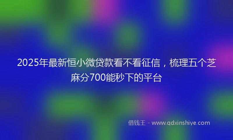 2025年最新恒小微贷款看不看征信，梳理五个芝麻分700能秒下的平台