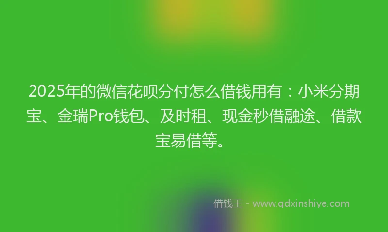 2025年的微信花呗分付怎么借钱用有：小米分期宝、金瑞Pro钱包、及时租、现金秒借融途、借款宝易借等。