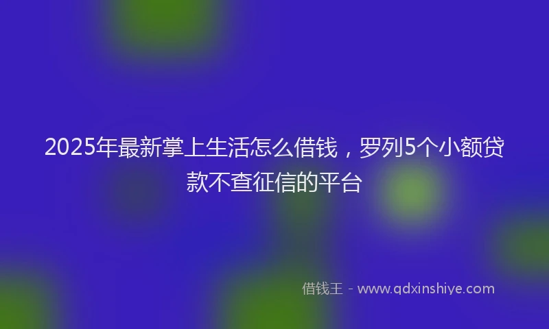 2025年最新掌上生活怎么借钱，罗列5个小额贷款不查征信的平台