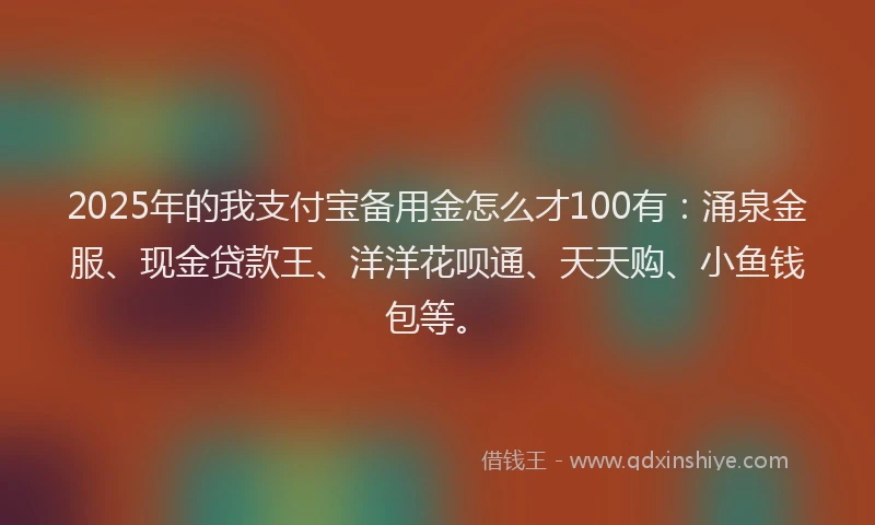2025年的我支付宝备用金怎么才100有：涌泉金服、现金贷款王、洋洋花呗通、天天购、小鱼钱包等。