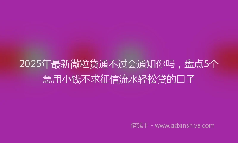 2025年最新微粒贷通不过会通知你吗，盘点5个急用小钱不求征信流水轻松贷的口子