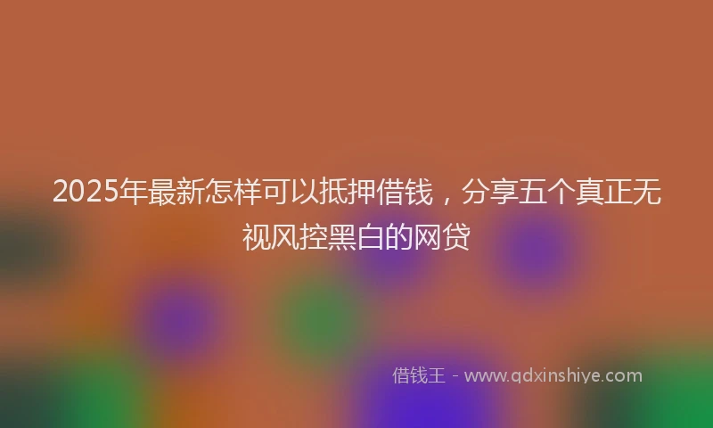 2025年最新怎样可以抵押借钱，分享五个真正无视风控黑白的网贷