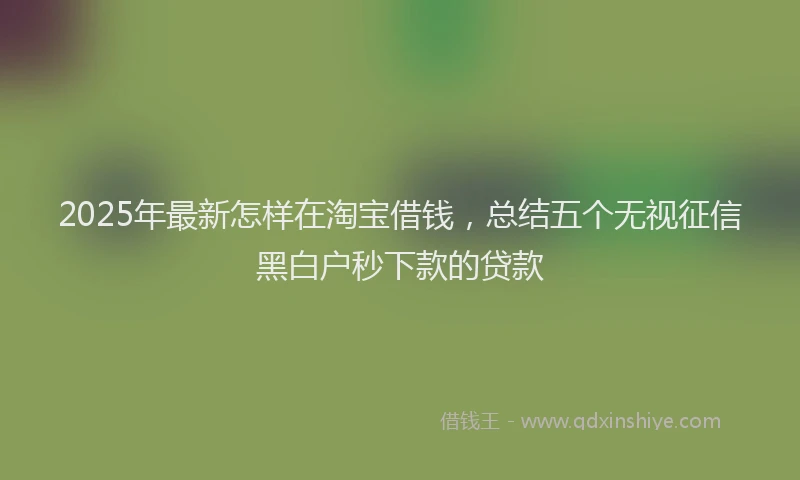 2025年最新怎样在淘宝借钱，总结五个无视征信黑白户秒下款的贷款
