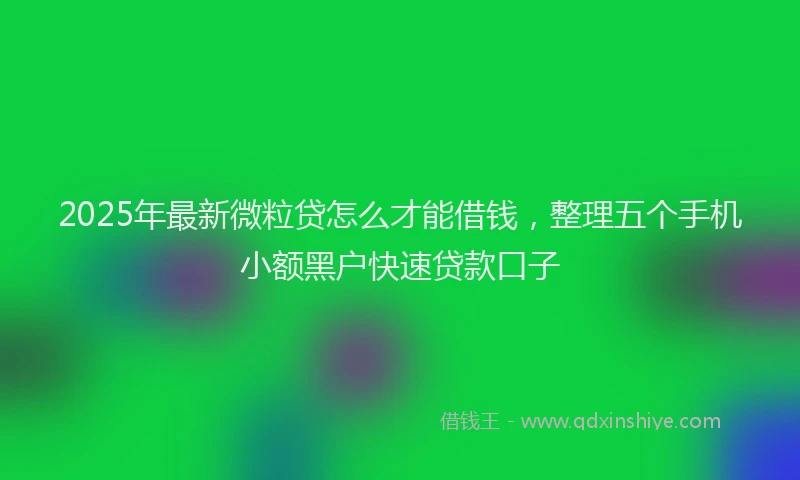 2025年最新微粒贷怎么才能借钱，整理五个手机小额黑户快速贷款口子