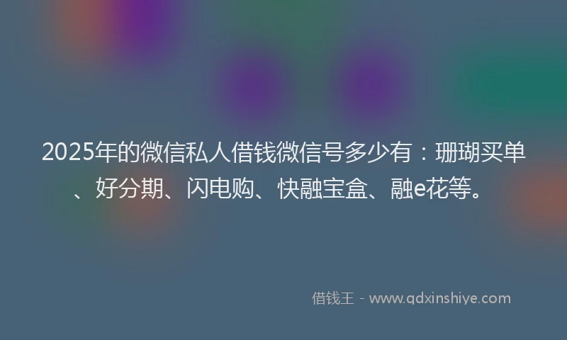 2025年的微信私人借钱微信号多少有：珊瑚买单、好分期、闪电购、快融宝盒、融e花等。