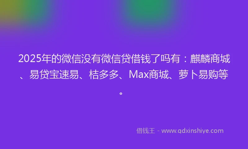 2025年的微信没有微信贷借钱了吗有：麒麟商城、易贷宝速易、桔多多、Max商城、萝卜易购等。