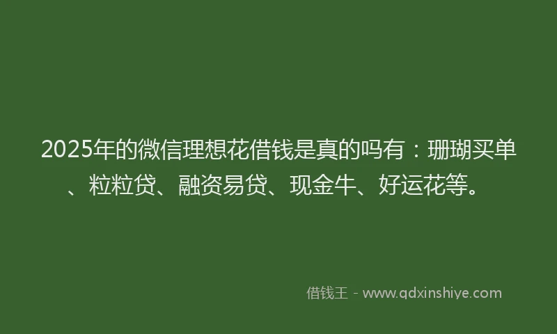 2025年的微信理想花借钱是真的吗有：珊瑚买单、粒粒贷、融资易贷、现金牛、好运花等。