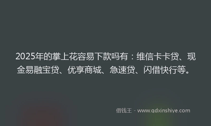 2025年的掌上花容易下款吗有：维信卡卡贷、现金易融宝贷、优享商城、急速贷、闪借快行等。