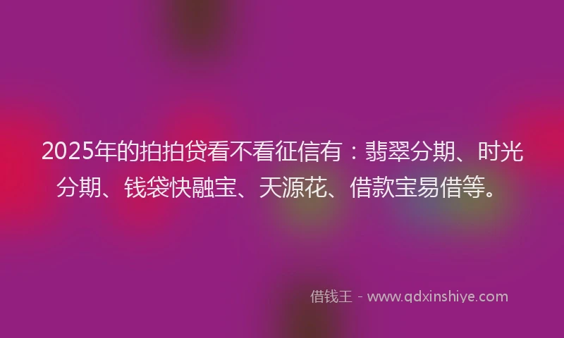 2025年的拍拍贷看不看征信有：翡翠分期、时光分期、钱袋快融宝、天源花、借款宝易借等。