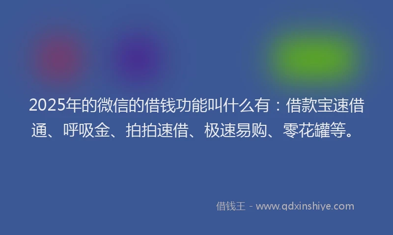 2025年的微信的借钱功能叫什么有：借款宝速借通、呼吸金、拍拍速借、极速易购、零花罐等。
