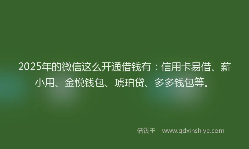 2025年的微信这么开通借钱有：信用卡易借、薪小用、金悦钱包、琥珀贷、多多钱包等。