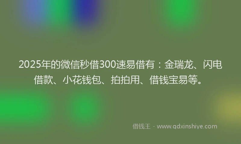 2025年的微信秒借300速易借有：金瑞龙、闪电借款、小花钱包、拍拍用、借钱宝易等。