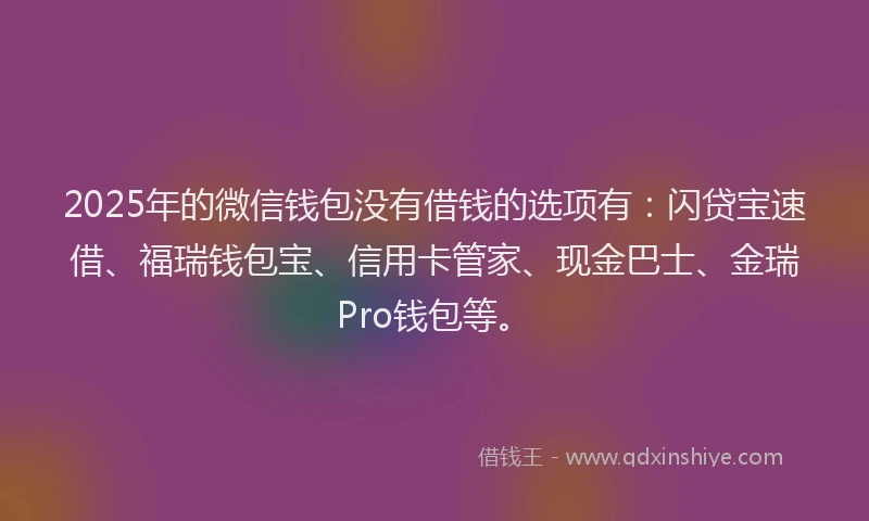 2025年的微信钱包没有借钱的选项有：闪贷宝速借、福瑞钱包宝、信用卡管家、现金巴士、金瑞Pro钱包等。