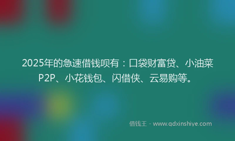 2025年的急速借钱呗有：口袋财富贷、小油菜P2P、小花钱包、闪借侠、云易购等。