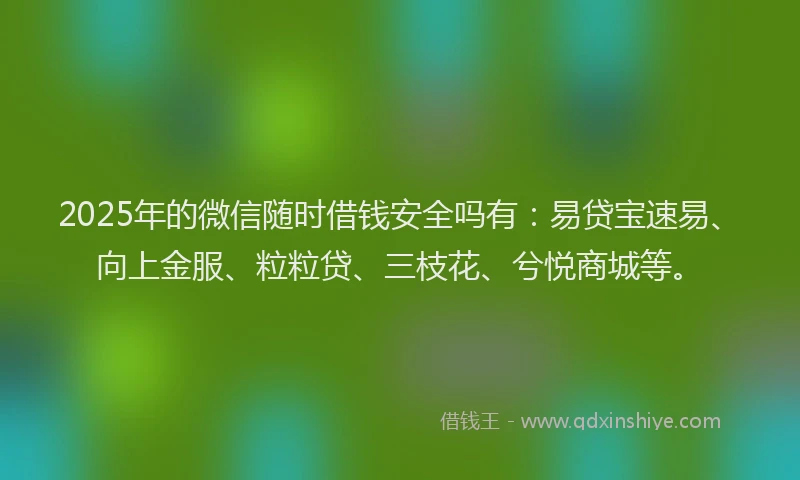 2025年的微信随时借钱安全吗有：易贷宝速易、向上金服、粒粒贷、三枝花、兮悦商城等。