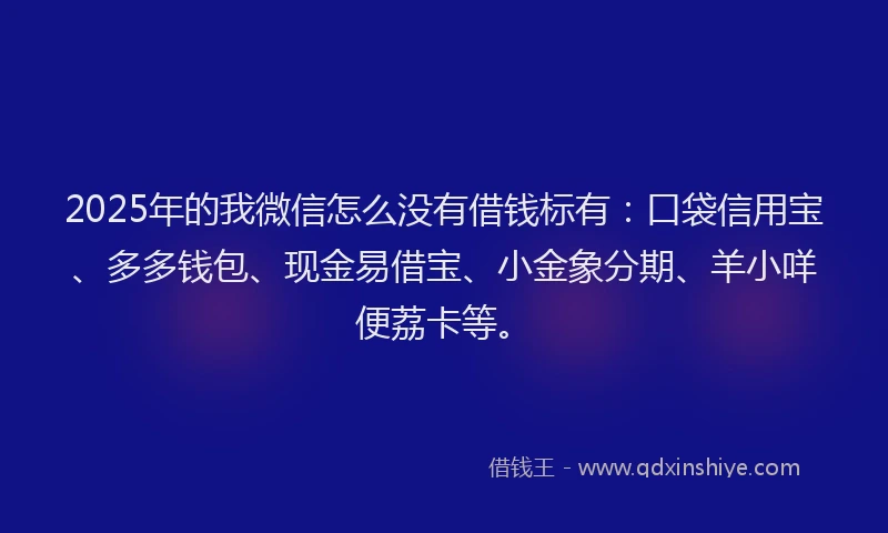 2025年的我微信怎么没有借钱标有：口袋信用宝、多多钱包、现金易借宝、小金象分期、羊小咩便荔卡等。
