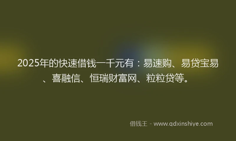 2025年的快速借钱一千元有：易速购、易贷宝易、喜融信、恒瑞财富网、粒粒贷等。