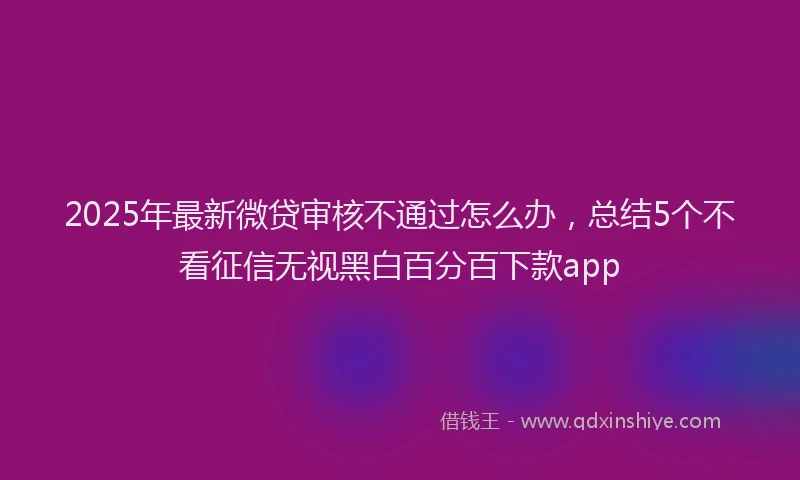 2025年最新微贷审核不通过怎么办，总结5个不看征信无视黑白百分百下款app
