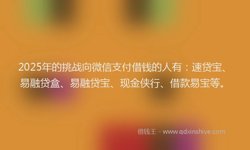 2025年的挑战向微信支付借钱的人有：速贷宝、易融贷盒、易融贷宝、现金侠行、借款易宝等。