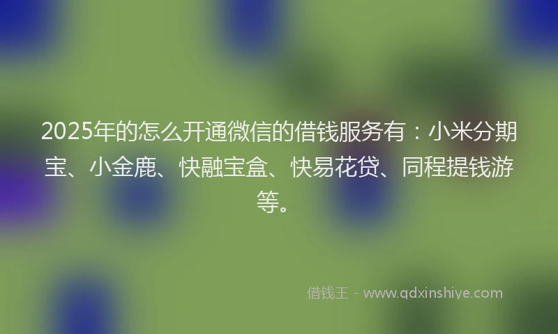 2025年的怎么开通微信的借钱服务有：小米分期宝、小金鹿、快融宝盒、快易花贷、同程提钱游等。