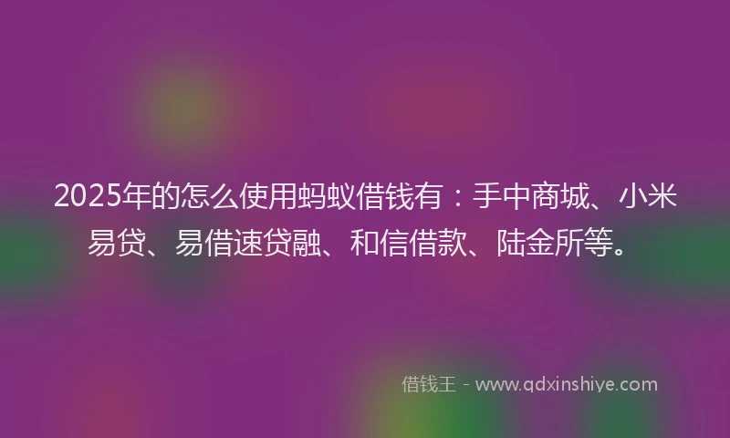 2025年的怎么使用蚂蚁借钱有：手中商城、小米易贷、易借速贷融、和信借款、陆金所等。