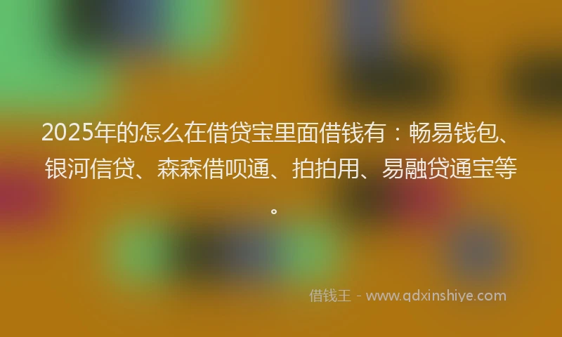 2025年的怎么在借贷宝里面借钱有：畅易钱包、银河信贷、森森借呗通、拍拍用、易融贷通宝等。
