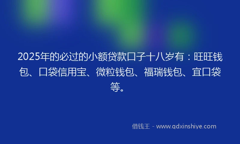 2025年的必过的小额贷款口子十八岁有：旺旺钱包、口袋信用宝、微粒钱包、福瑞钱包、宜口袋等。