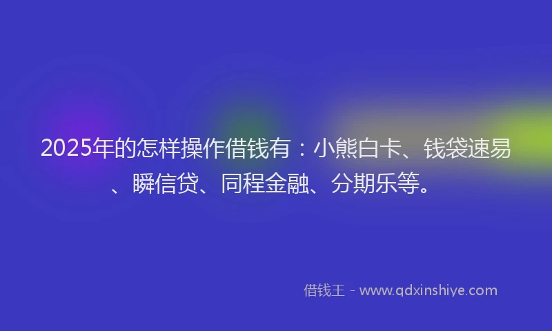 2025年的怎样操作借钱有：小熊白卡、钱袋速易、瞬信贷、同程金融、分期乐等。