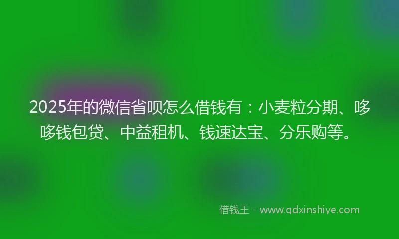 2025年的微信省呗怎么借钱有：小麦粒分期、哆哆钱包贷、中益租机、钱速达宝、分乐购等。