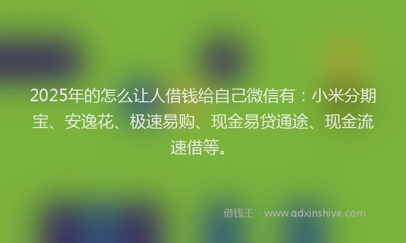 2025年的怎么让人借钱给自己微信有：小米分期宝、安逸花、极速易购、现金易贷通途、现金流速借等。