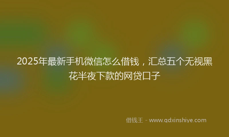 2025年最新手机微信怎么借钱，汇总五个无视黑花半夜下款的网贷口子