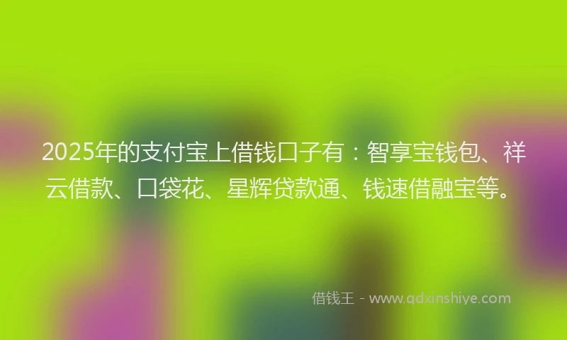 2025年的支付宝上借钱口子有：智享宝钱包、祥云借款、口袋花、星辉贷款通、钱速借融宝等。