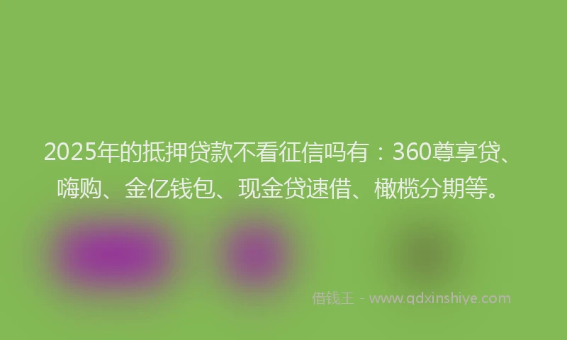 2025年的抵押贷款不看征信吗有：360尊享贷、嗨购、金亿钱包、现金贷速借、橄榄分期等。